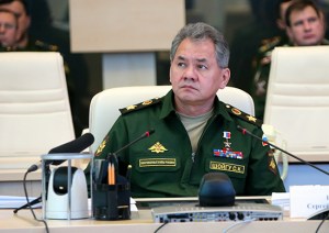 Shoygu in the Videoconference (photo: Mil.ru)