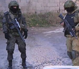 Not Crimea, the North Caucasus (photo: RIA Novosti)